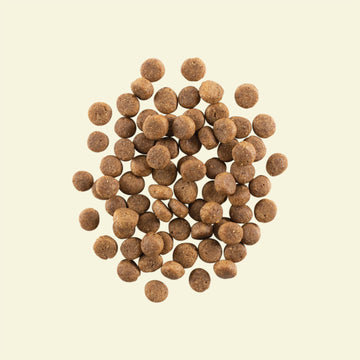 NOW FRESH - Grain Free Puppy Dog Food Recipe