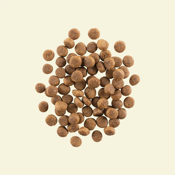 NOW FRESH - Grain Free Puppy Dog Food Recipe