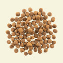 NOW FRESH - Grain Free Red Meat Recipe for Adult Dogs