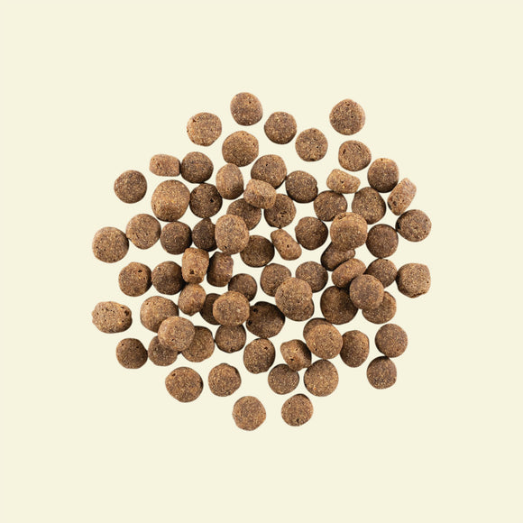 NOW FRESH - Grain Free Senior Dog Food Recipe