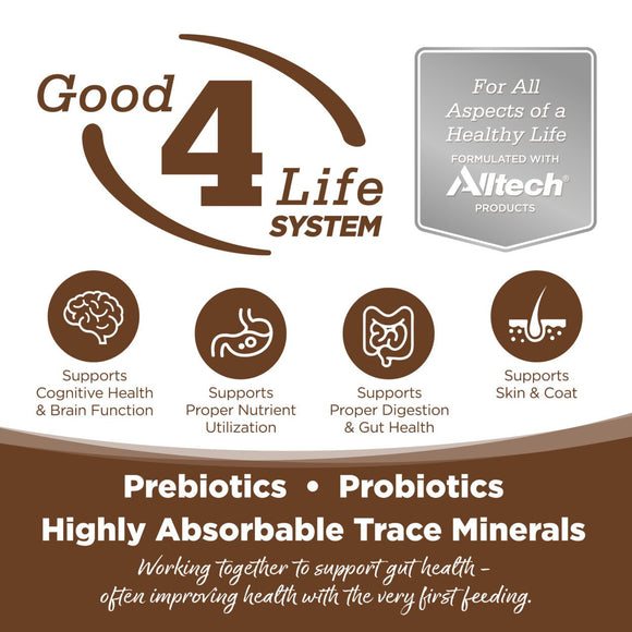 NutriSource | PureVita | Limited Ingredient Chicken Entree | Wet Cat Food Near Me Toronto | ARMOR THE POOCH