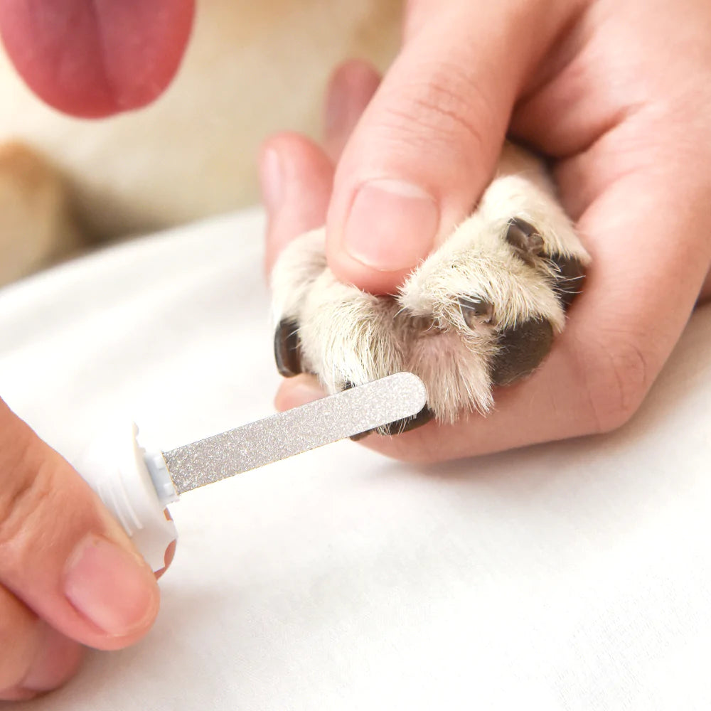 One For Pets | Lumi Dog Nail Clipper - with LED light and Wood's Lamp | Dog Nail Clipper