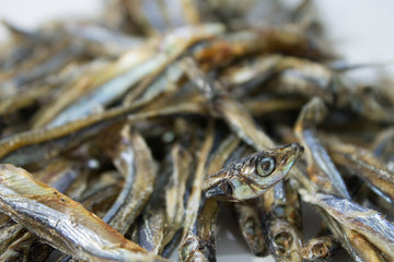 Only One Treats - Dried Sardines