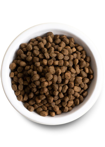 Open Farm | Chicken, Salmon Puppy Recipe With Ancient Grains | Puppy Food Near Me Toronto | ARMOR THE POOCH