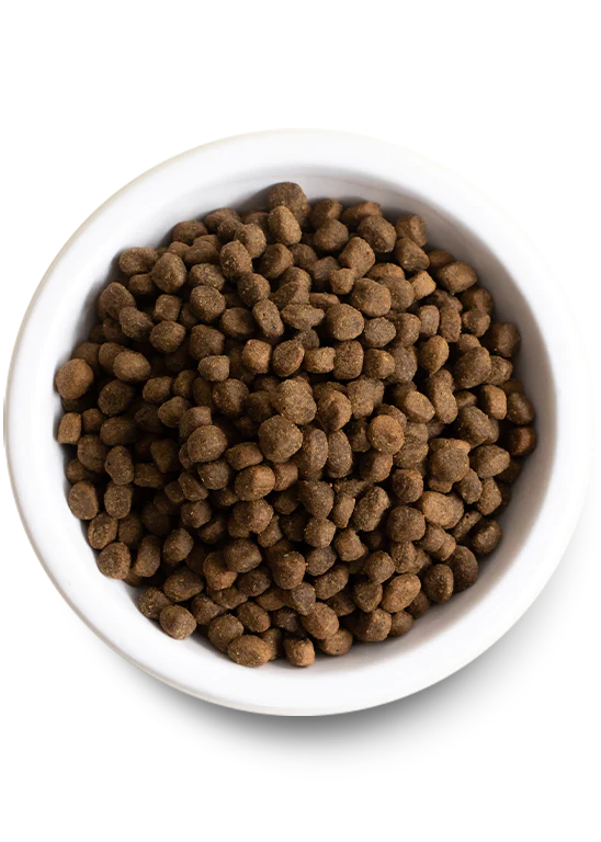 Open Farm | Grass Fed Beef Dry Dog Food | ARMOR THE POOCH