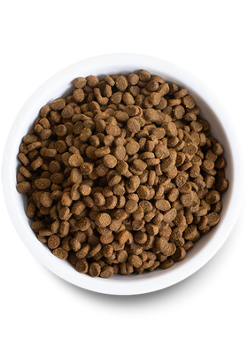 Open Farm | Homestead Turkey & Chicken | Dry Cat Food Near Me Toronto | ARMOR THE POOCH