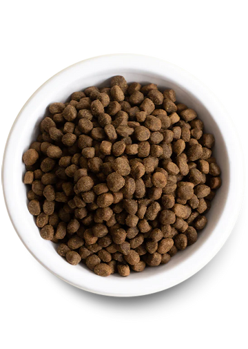 Open Farm | Pasture-Raised Lamb | Dry Dog Food Near Me | ARMOR THE POOCH