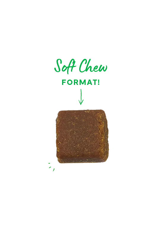 Open Farm | Probiotic Supplement Chews | Supplement for Dogs | ARMOR THE POOCH