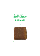 Open Farm | Probiotic Supplement Chews | Supplement for Dogs | ARMOR THE POOCH