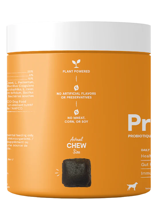 Open Farm | Probiotic Supplement Chews | Supplement for Dogs | ARMOR THE POOCH