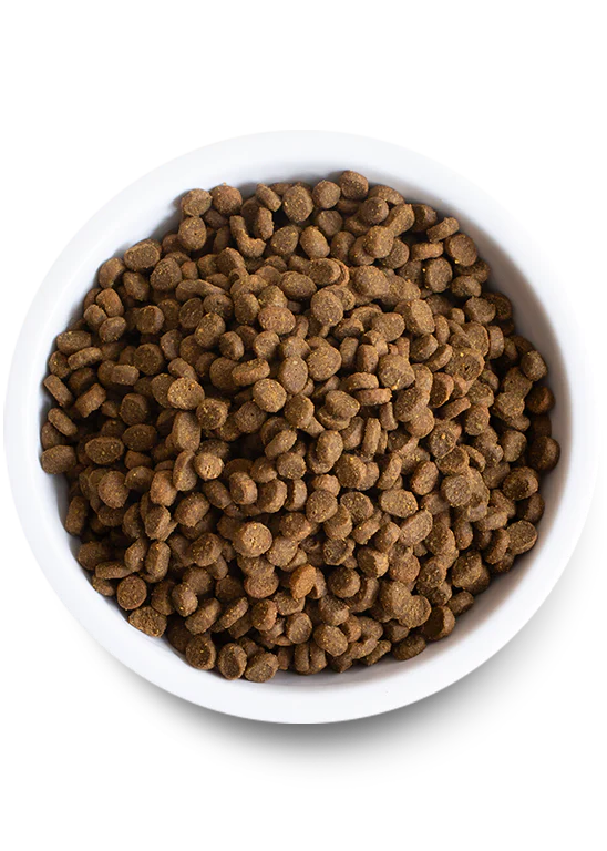 Open Farm | Wild Caught Salmon | Dry Cat Food Near Me | ARMOR THE POOCH