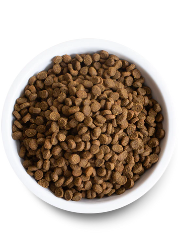 Open Farm | Wild Caught Salmon | Dry Cat Food Near Me | ARMOR THE POOCH