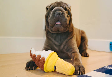 P.L.A.Y | Snack Attack Collection | Dog Toy Near Me | ARMOR THE POOCH