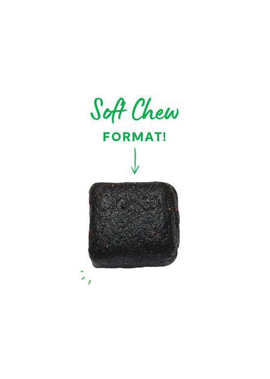 Open Farm | Skin & Coat Supplement Chews for Dogs | ARMOR THE POOCH