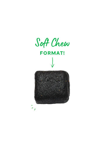 Open Farm | Skin & Coat Supplement Chews for Dogs | ARMOR THE POOCH