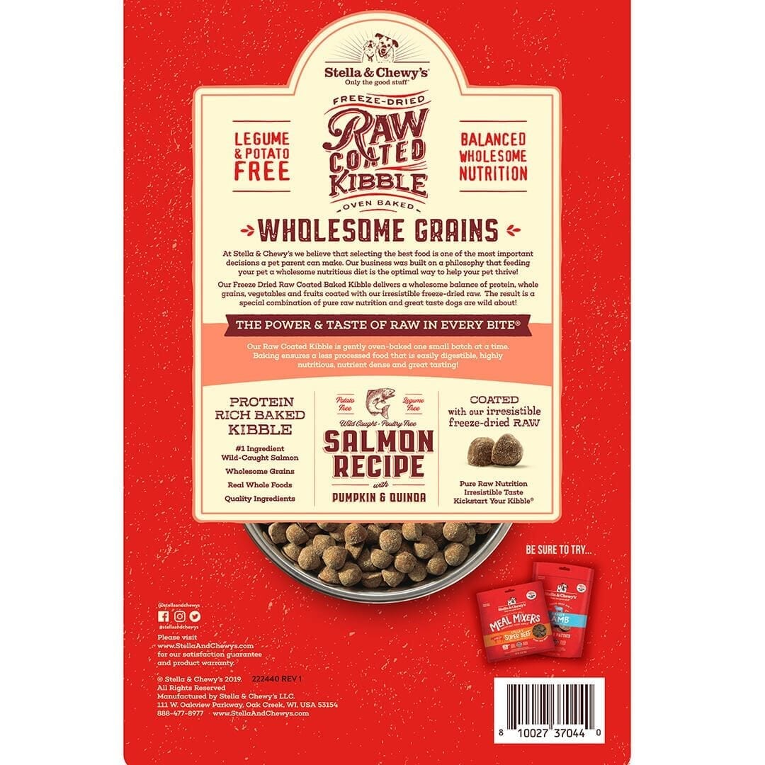 Stella & Chewy's - Salmon Recipe with Pumpkin & Quinoa Raw Coated Kibble Wholesome Grains (Dry Dog Food)