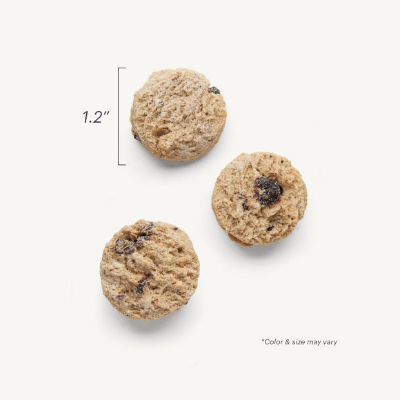 The Honest Kitchen | Goat's Milk N' Cookies | Slow Baked With Blueberries & Vanilla | Pet Food Stores Near Me Toronto | ARMOR THE POOCH