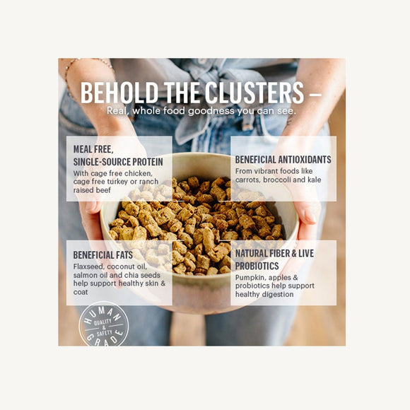 The Honest Kitchen - Whole Food Clusters - Grain Free Turkey (Dry Dog Food)