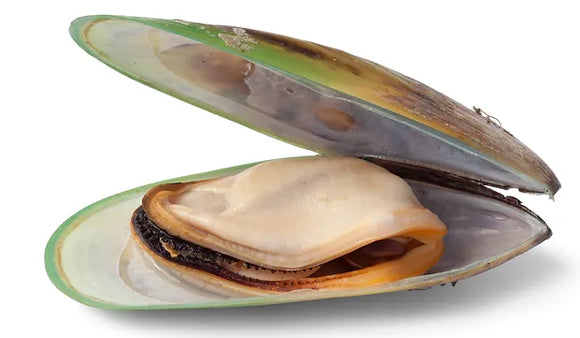 The NZ Natural Pet Food Co. | Woof | Freeze Dried New Zealand Green Mussel | Dog Treat