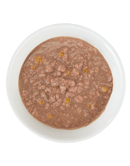 Tiki Cat - Aloha Friends - Chicken & Pumpkin Pouch for Cats | Tiki Cat | ARMOR THE POOCH