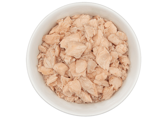 Tiki Cat - Luau - Wild Salmon for Cats