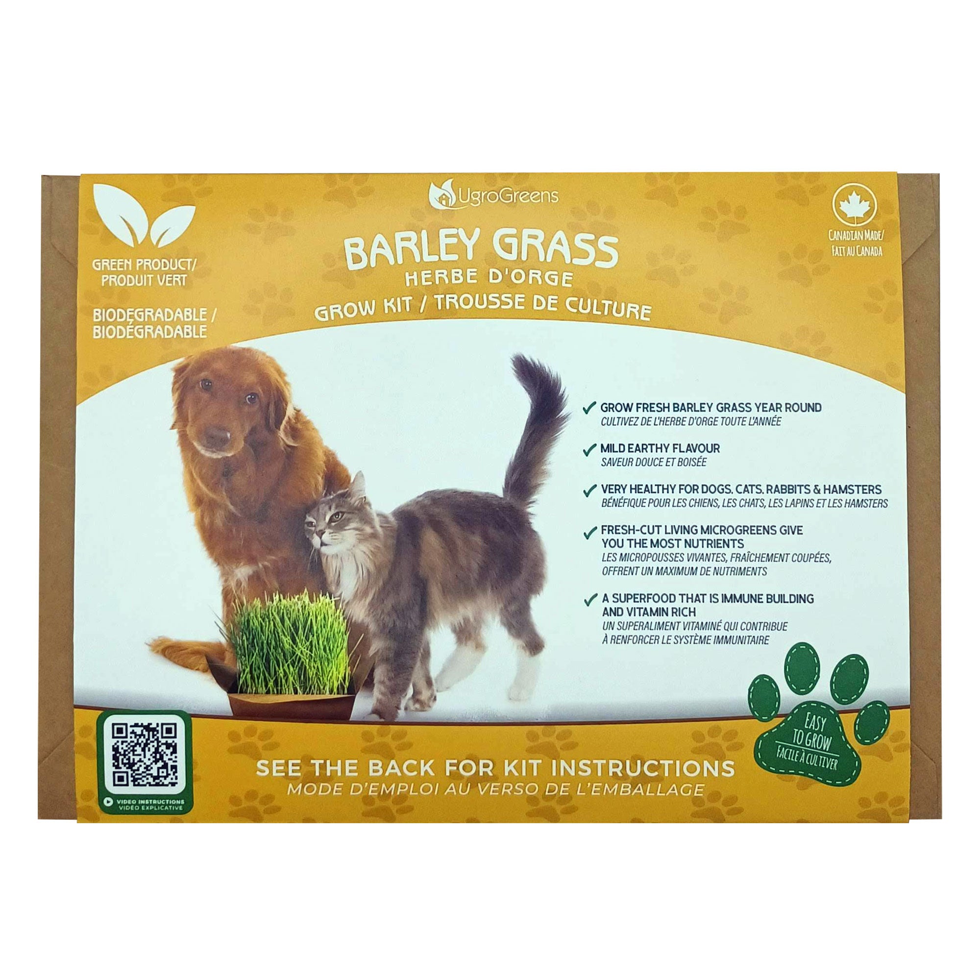 UgroGreens | Barley Grass Grow Kit | Cat Grass Toronto | ARMOR THE POOCH