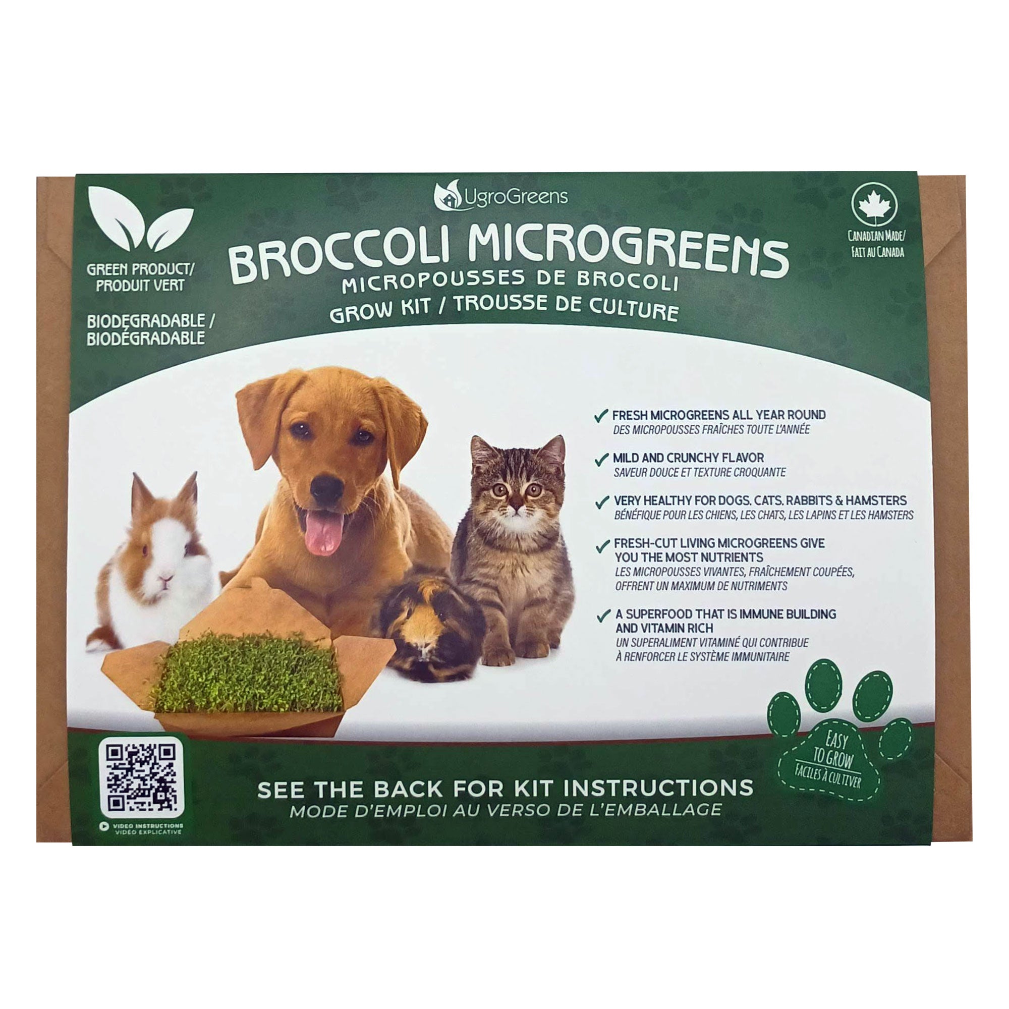 UgroGreens | Broccoli Microgreens Grow Kit | Pet Grass Toronto | ARMOR THE POOCH
