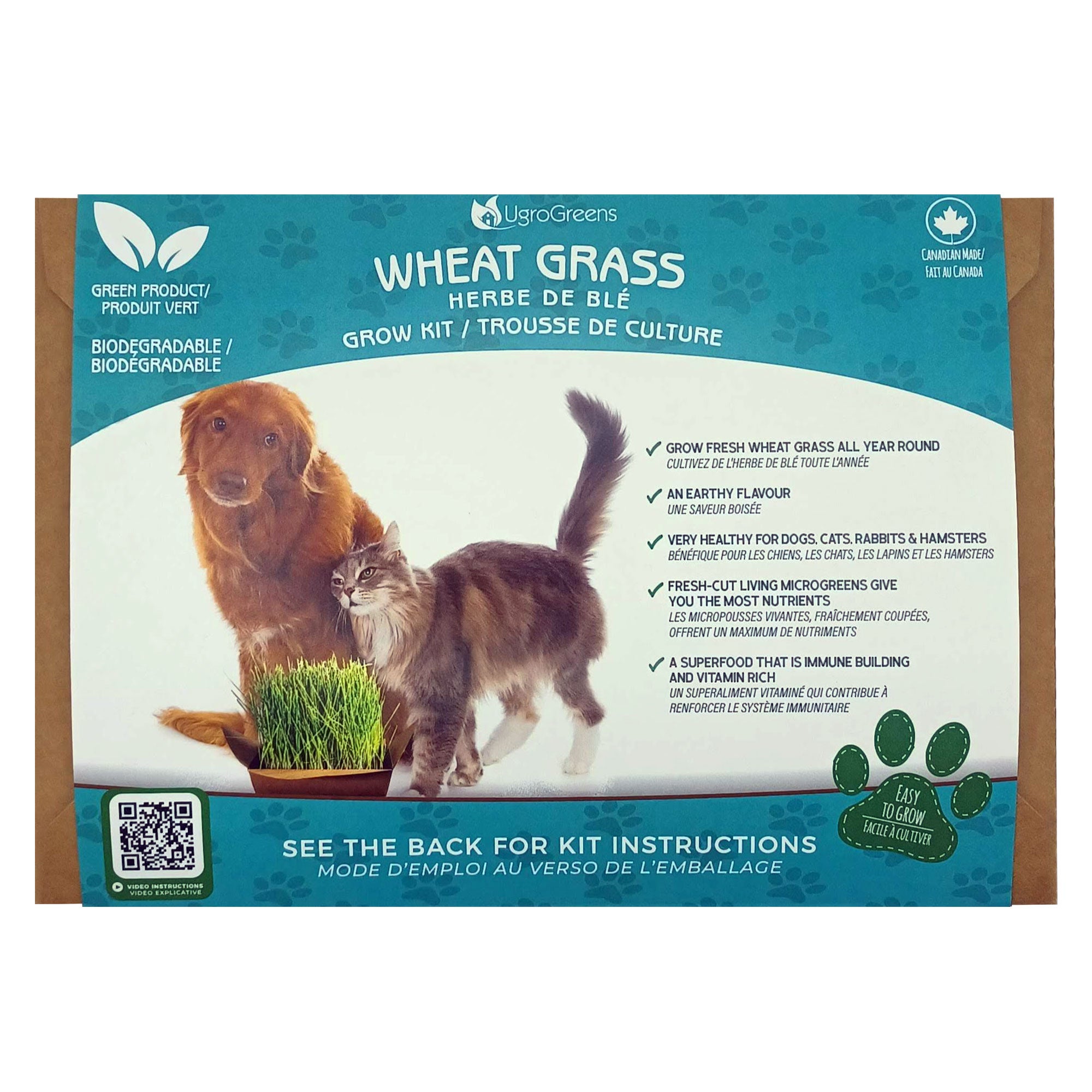 UgroGreens | Wheat Grass Grow Kit | Pet Grass Toronto | ARMOR THE POOCH