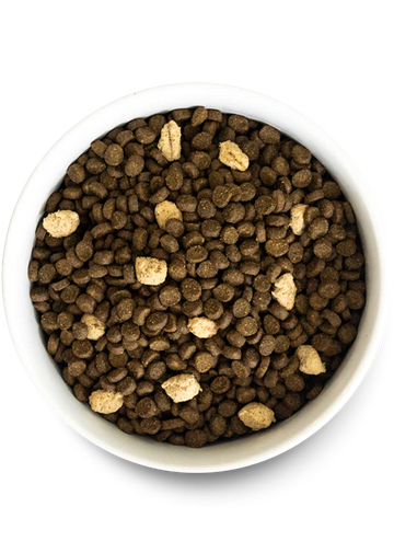 Open Farm | Wild Ocean Grain-Free RawMix for Cats | Dry Cat Food Near Me | ARMOR THE POOCH
