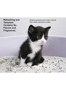 Pidan Cat Litter | Bentonite Cat Litter | ARMOR THE POOCH