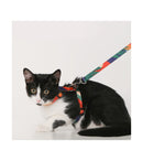 Pidan | Cat Harness and Leash Set | Online Pet Shop | ARMOR THE POOCH