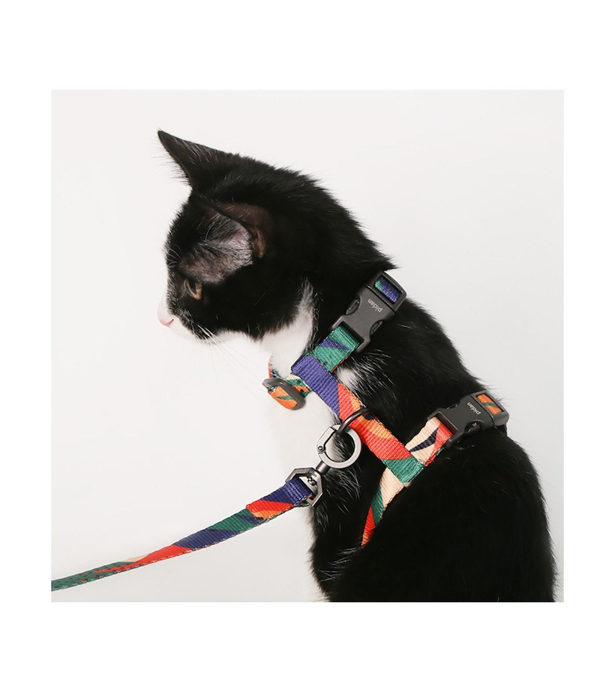 Pidan | Cat Harness and Leash Set | Online Pet Shop | ARMOR THE POOCH