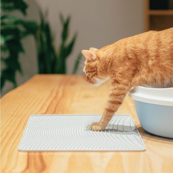 Pidan Cat Litter Mat | Cat Litter Supplies Toronto  | ARMOR THE POOCH