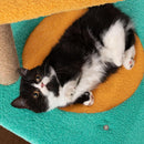 Pidan | Cat Tree Cloth Castle | Pet Store Toronto | ARMOR THE POOCH