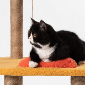 Pidan | Cat Tree Cloth Castle | Pet Store Toronto | ARMOR THE POOCH