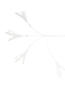 Pidan | Long Cat Teaser Wand | Online Pet Shop | ARMOR THE POOCH