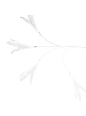 Pidan | Long Cat Teaser Wand | Online Pet Shop | ARMOR THE POOCH