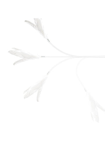 Pidan | Long Cat Teaser Wand | Online Pet Shop | ARMOR THE POOCH
