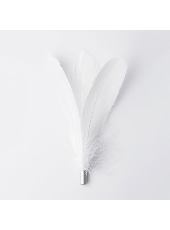 Pidan | Long Cat Teaser Wand | Online Pet Shop | ARMOR THE POOCH