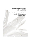 Pidan | Long Cat Teaser Wand | Online Pet Shop | ARMOR THE POOCH