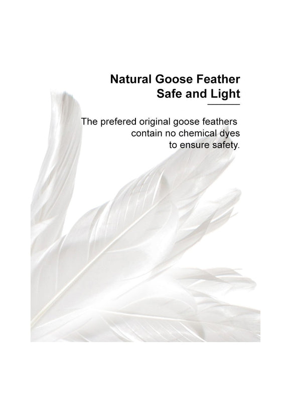 Pidan | Long Cat Teaser Wand | Online Pet Shop | ARMOR THE POOCH