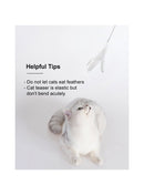 Pidan | Long Cat Teaser Wand | Online Pet Shop | ARMOR THE POOCH