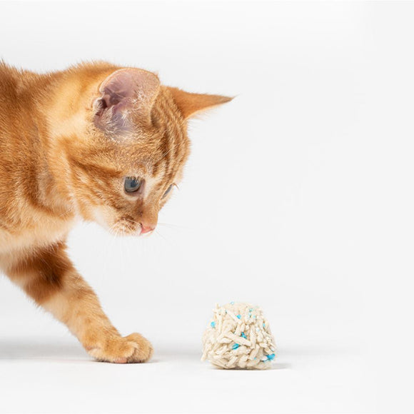 Cat Litter Toronto | Pidan Tofu Cat Litter | ARMOR THE POOCH