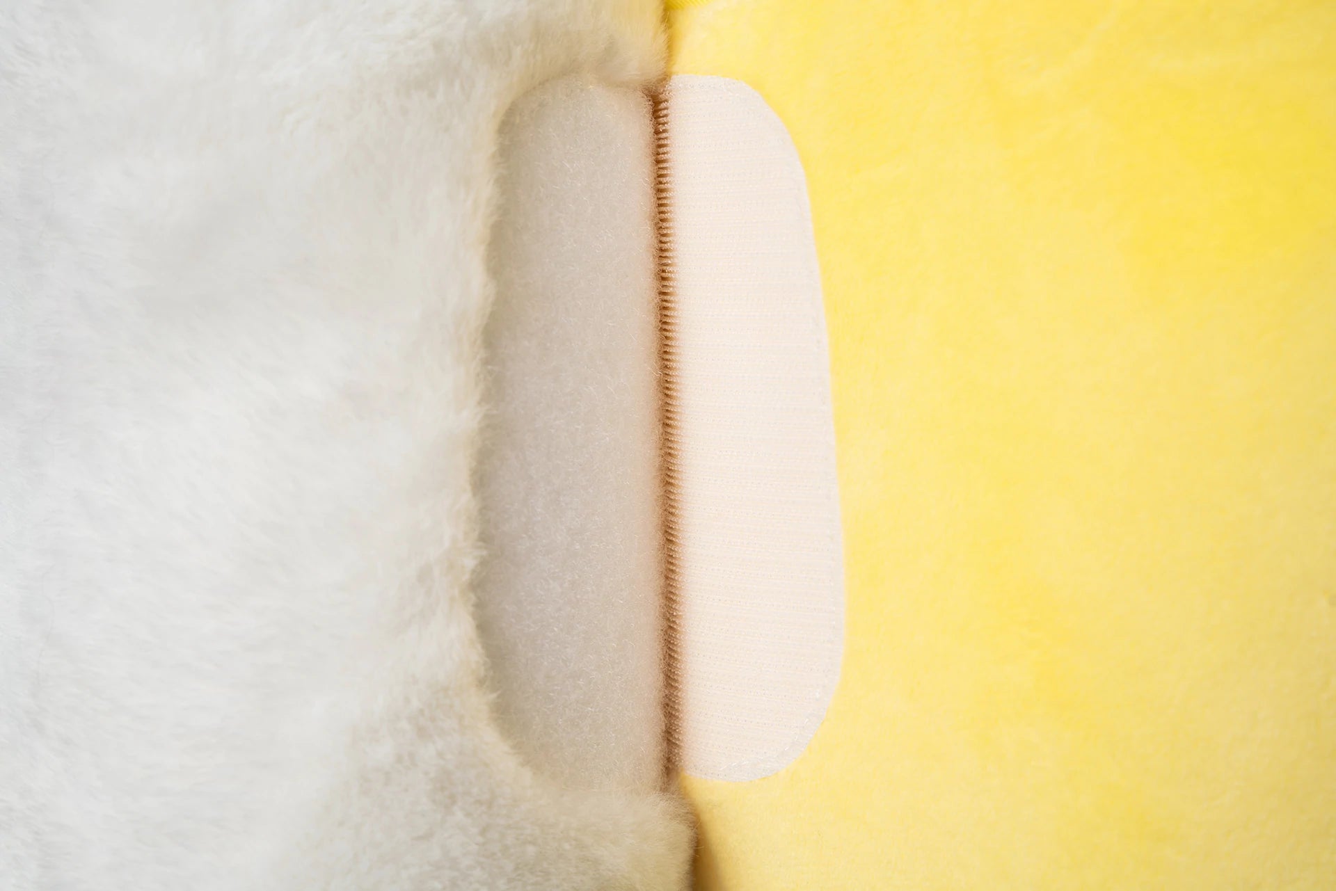 Pidan | Pelican Pet Bed | Pet Store Toronto | ARMOR THE POOCH