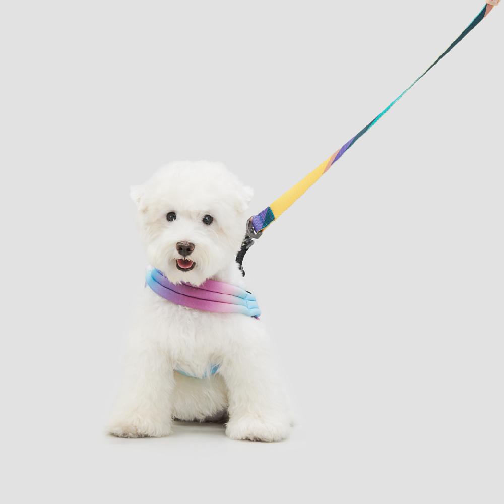 pidan - Pet Harness for Dog