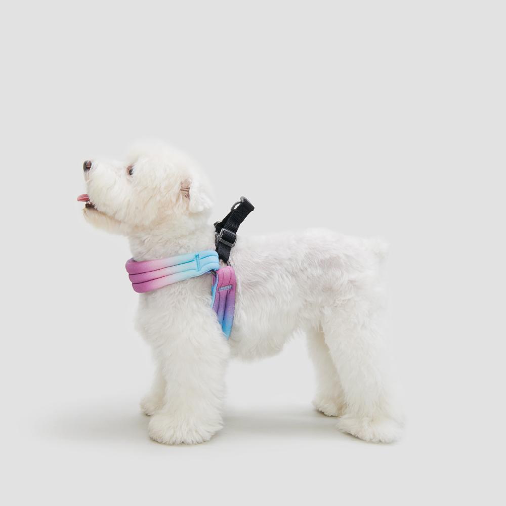 pidan - Pet Harness for Dog