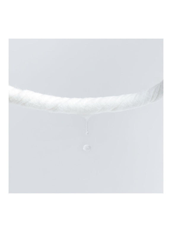 pidan - Pet Wet Wipes