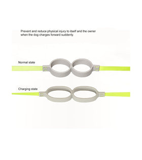 pidan - Shock Absorbing Dog Leash