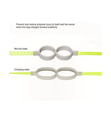 pidan - Shock Absorbing Dog Leash