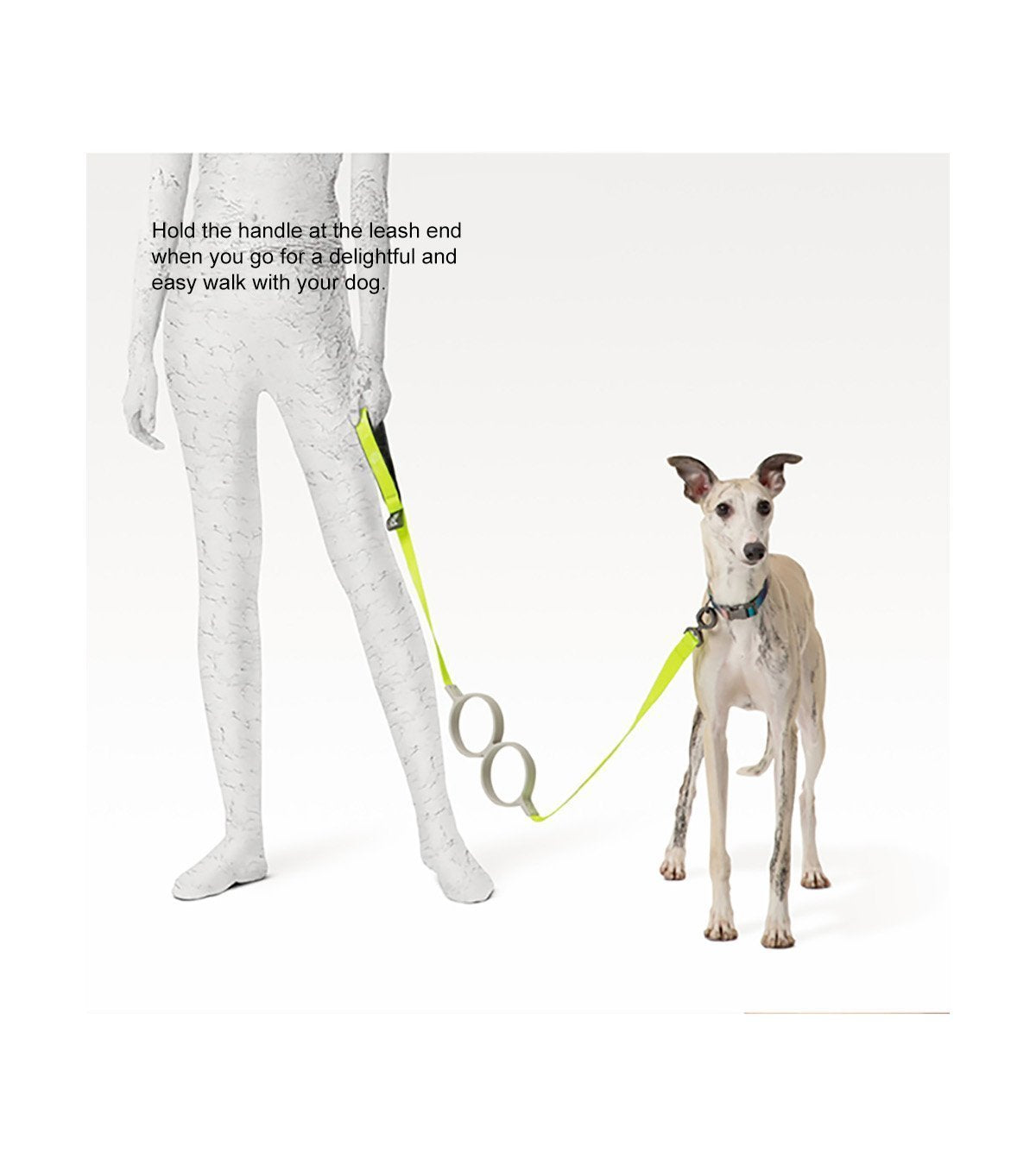 pidan - Shock Absorbing Dog Leash